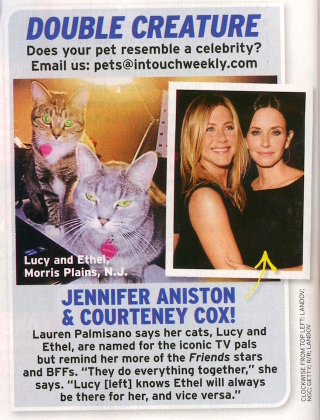 Illustration for article titled This Week In Tabloids: Kendall Is Having Scott's Baby, Isn't Sorry